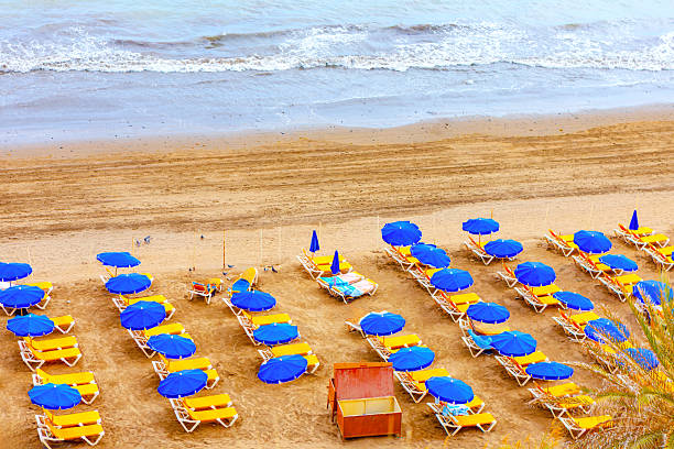 Beach organized with sun loungers and parasols. Beach scene features rows of yellow lounge chairs under blue umbrellas neatly arranged on golden sand, facing the ocean with gentle waves rolling in.