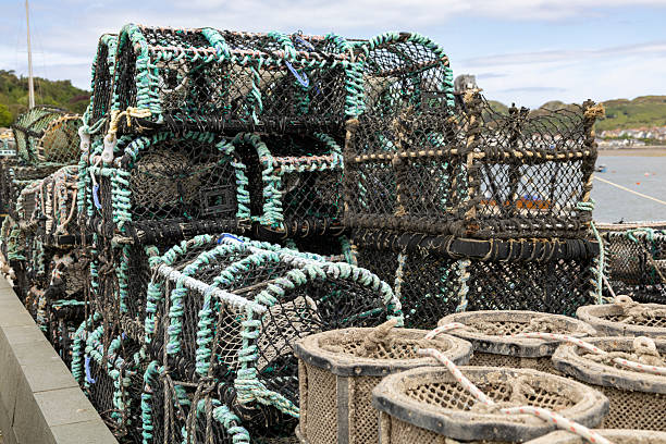istock Crab traps stacked on a Harbour. 2215553303