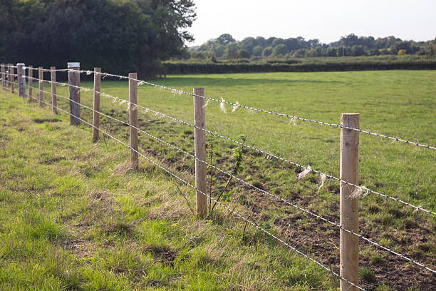 istock Lambs wool on a barbed wire fence in Somerset England 2215562469