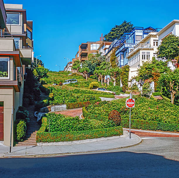 istock Lombard Street, San Francisco 2215568211