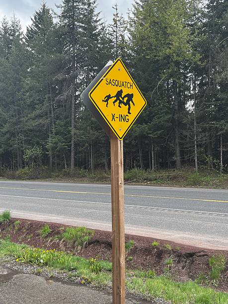 istock Sasquatch Crossing in Oregon 2215571520