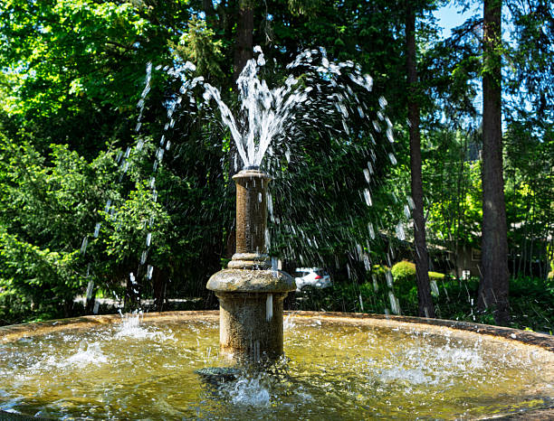 San Francisco, CA- August 7, 2011: Stanford University was established in 1885 by California senator Leland Stanford and his wife. Now it is one of the World's top universities. Here is the beautiful campus of Spanish architecture style.