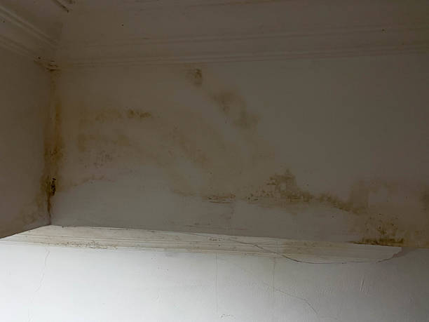 istock Water seepage marks on the white wall 2215582125