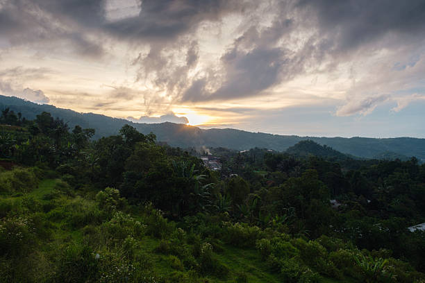 A peaceful tropical sunset bathes the lush green hills and dense forest in a warm golden light. The sky is painted in gentle hues of orange and pink, creating a tranquil atmosphere across the natural landscape. Ideal for concepts of tropical beauty, nature tranquility, eco-tourism, and scenic outdoor settings.