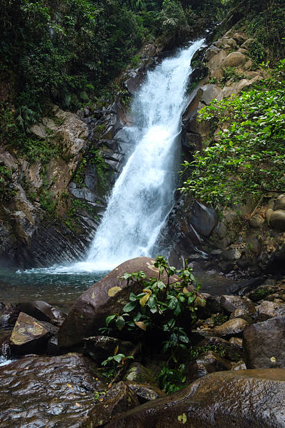 istock Serene Waterfall CIdurian, Kiarasari Bogor Cascading Over Rocks in a Lush Forest Setting 2215583545