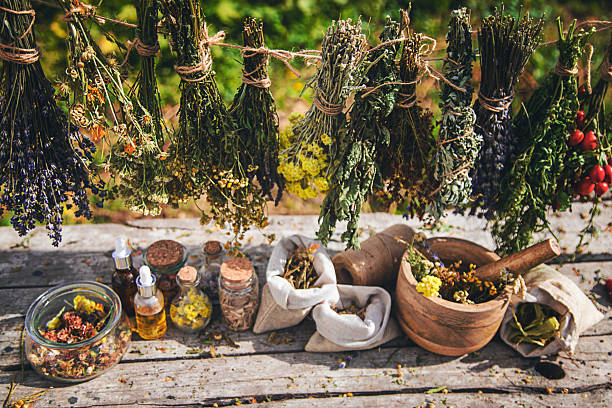 istock Dried medicinal herbs on the table. Selective focus. 2215594035