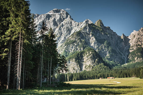tyrol landscape in summer