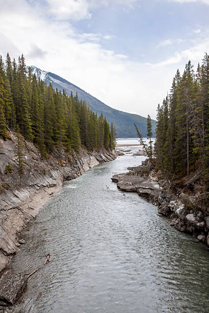 istock Serene Stewart Canyon, Banff 2215598699
