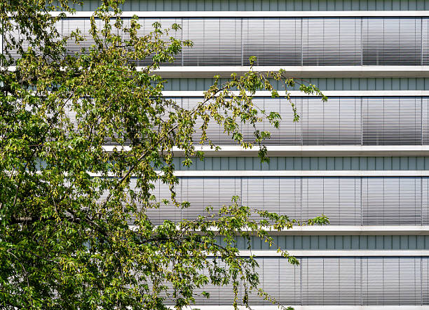 Germany, Berlin, Berline central, April 27, 2025 - A tree in front of a modern office building with closed blinds