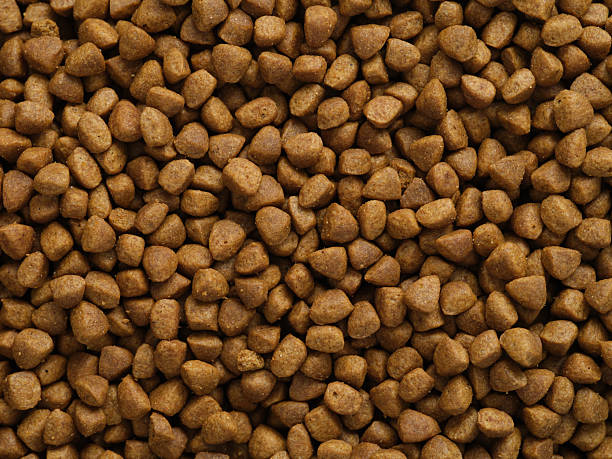 istock A background of cat food. 2215601357