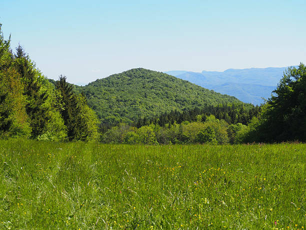 istock Vercors.  Beauregard Barret 2215601838