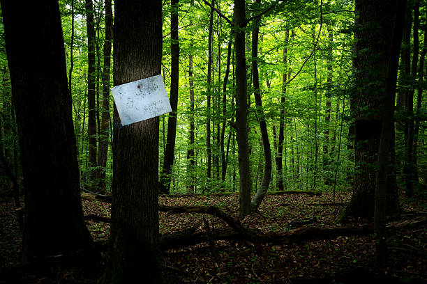a white notice board pinned to a tree in the forest