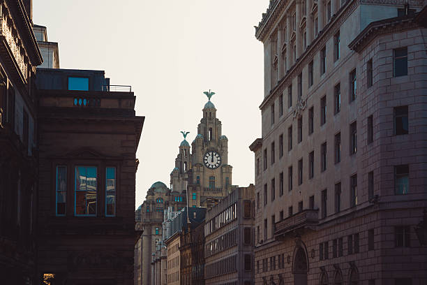 Royal liver building clock tower emerging from liverpool cityscape