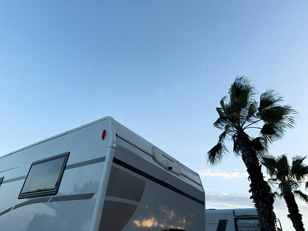 istock Recreational vehicles parked near palm trees under blue sky 2215627973