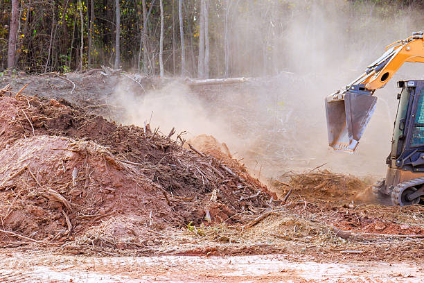 istock Excavator clearing land in forested area, generating dust debris during land development activities 2215634459