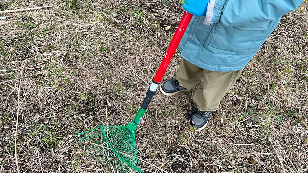 istock Cleaning dry grass in the garden in spring 2215645915
