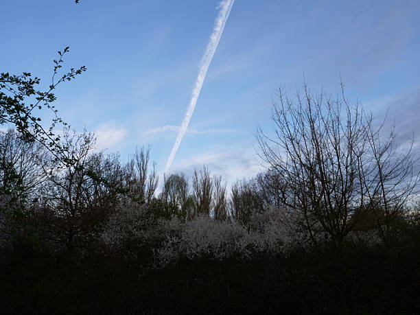 istock Vapor trails and cloudscape over countryside 2215655305