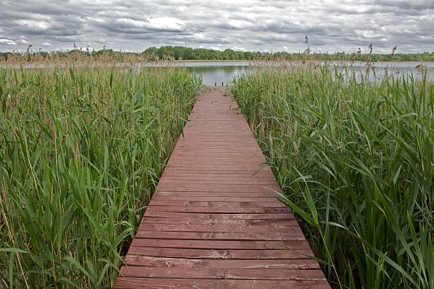 istock Bridge to the lake 2215662785