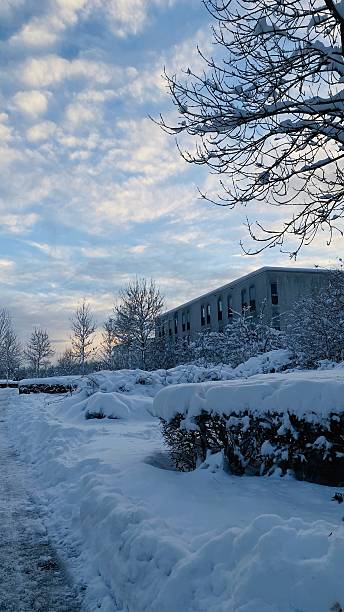 istock Frozen Urban Wonderland – Munich in Winter. 2215673528