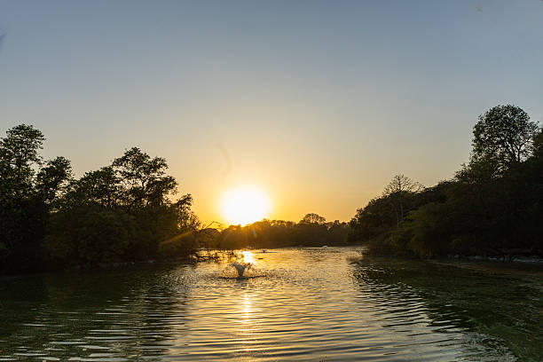 istock Deer park, Hauz Khas,  during the sunset 2215680604