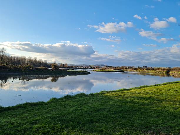 istock beautiful view in a park in midleton ireland 2215680755