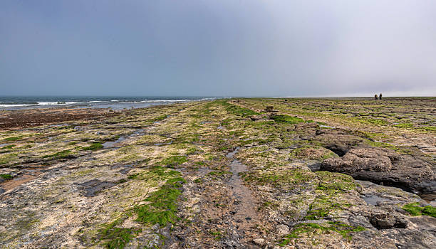 istock Rocky beach at low tide with the sea beyond. 2215683576