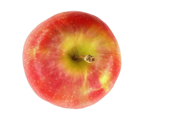 istock Fresh red apple showcasing vibrant colors and a smooth texture against a white background 2215684470