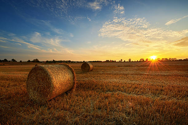 istock Beautiful summer sunset over fields with hay bales 2215694586