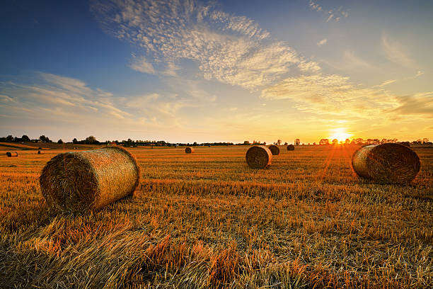 istock Beautiful summer sunset over fields with hay bales 2215694689