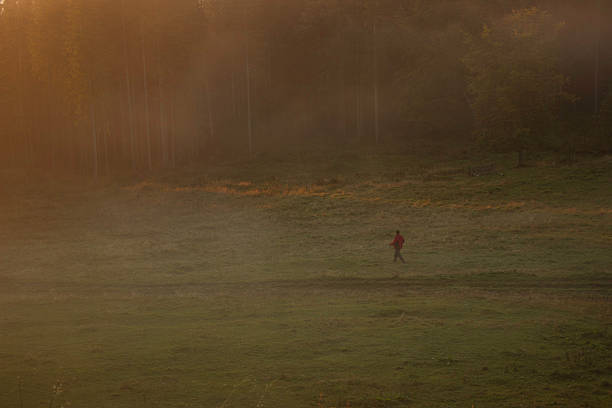 A solitary person in a red jacket walks across a misty green meadow at sunrise. The soft golden light filters through the fog and trees, creating a peaceful and atmospheric early morning scene in the mountains. The silhouette of the forest and the quiet mood evoke feelings of calm, solitude, and connection with nature.