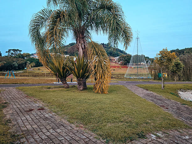 istock Coronel Vivida City 2215702379