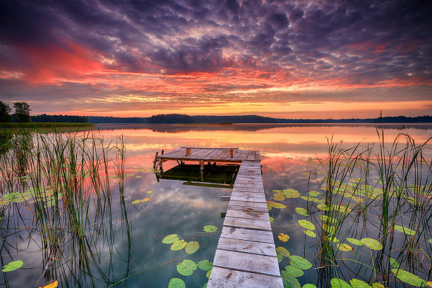 istock Beautiful summer sunrise over lake 2215703445