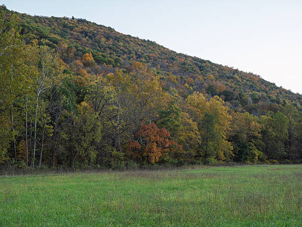 Autumn trees displaying vibrant colors on a hillside in West Virginia stock photo