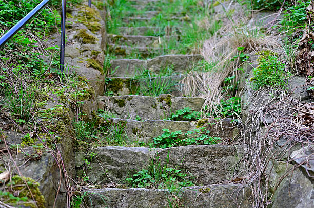 istock Granite stairs and green grass 2215705204