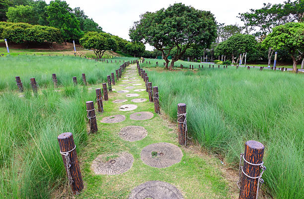 Step Stone Pathway in a Lush Green Park
