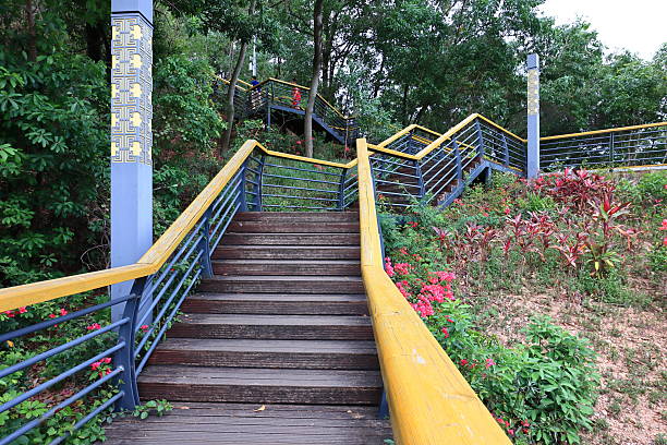 Wooden stairs in the park