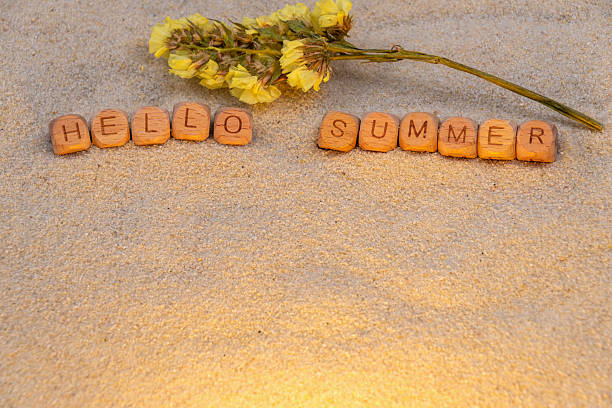 istock Yellow flowers and Wooden blocks spelling hello summer on sandy beach 2215723975