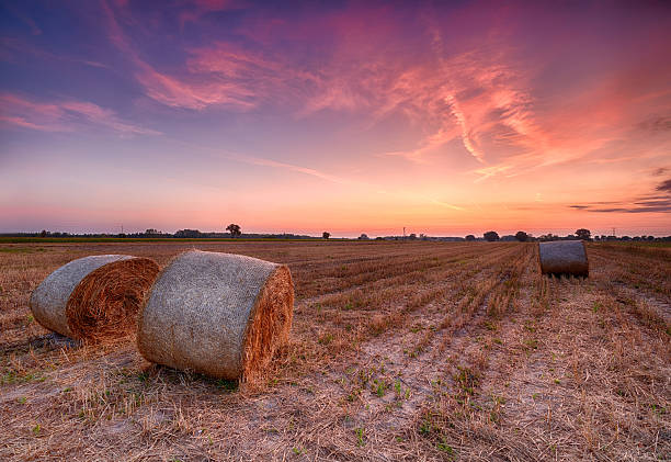 istock Beautiful summer sunset over fields with hay bales 2215725412