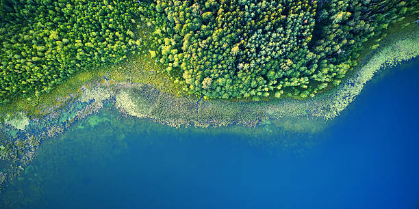 istock Aerial landscape from the drone - coastline 2215725769