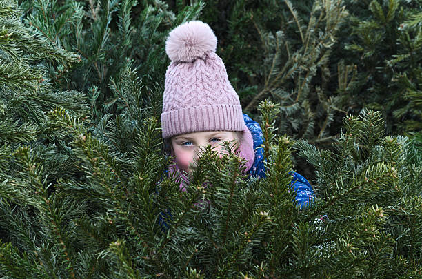 A young child girl wearing a pink bobble hat is partially hidden among several green Christmas trees. Only their eyes and part of their face are visible through the dense branches.