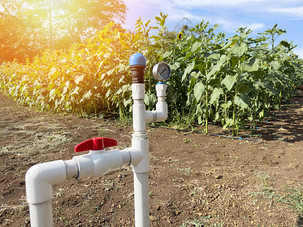 istock Irrigation water system for agriculture plantation 2215729445