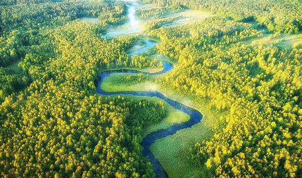 istock Wild river landscape from the drone 2215732551