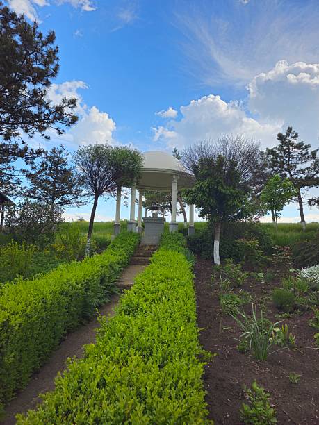 A garden with a gazebo. Outdoor. Grass. Tree. Sky. Plant