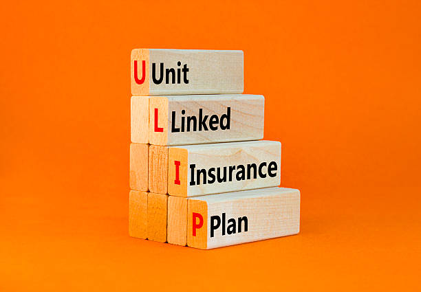 istock ULIP Unit Linked Insurance Plan symbol. Concept word ULIP Unit Linked Insurance Plan on beautiful blocks. Beautiful orange background. Business ULIP Unit Linked Insurance Plan concept. Copy space. 2215734789