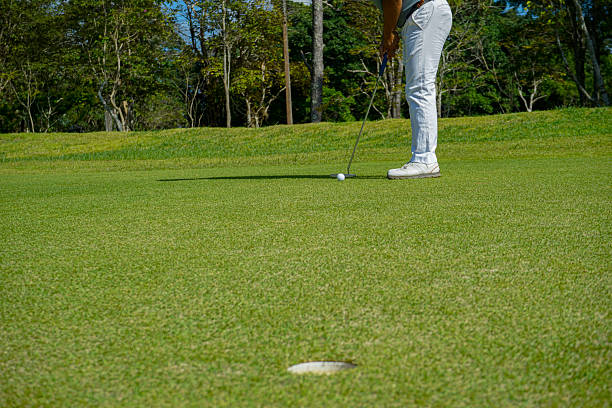 istock Golfer putting golf in beautiful golf course in the evening golf course with sunshine. 2215735464