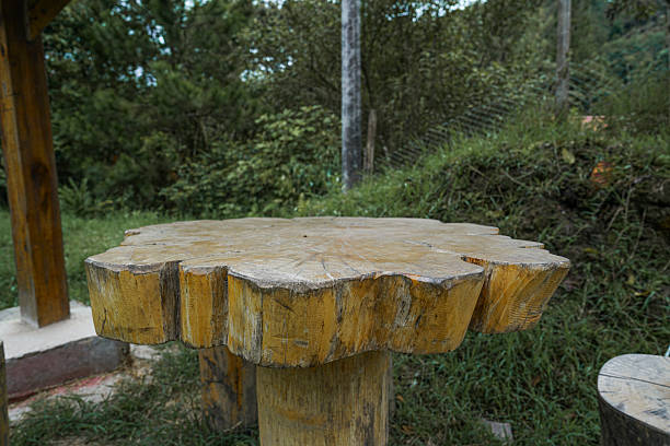 A close-up view of a handcrafted table made from a tree trunk, highlighting the organic patterns and raw beauty of natural wood. This artistic composition focuses on texture, craftsmanship, and simplicity—ideal for editorial features, lifestyle collections, or visual storytelling with a rustic, nature-inspired aesthetic.