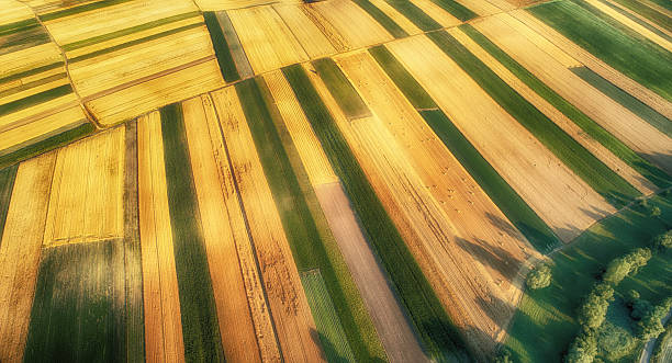 istock Drone aerial view - fields on the morning 2215737440