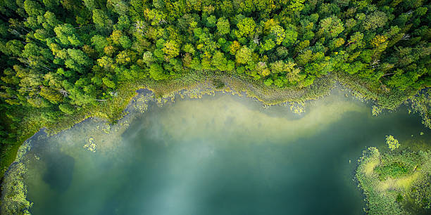 istock Aerial landscape from the drone- lake shore 2215737498