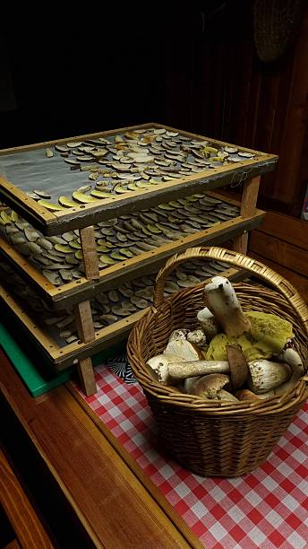 istock A wicker basket filled with various mushrooms sits on a checkered tablecloth 2215751931