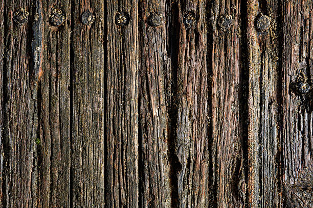 Detailed view of decaying wooden planks with rusty bolts from an old shipwreck. A rich marine texture ideal for backgrounds and design.